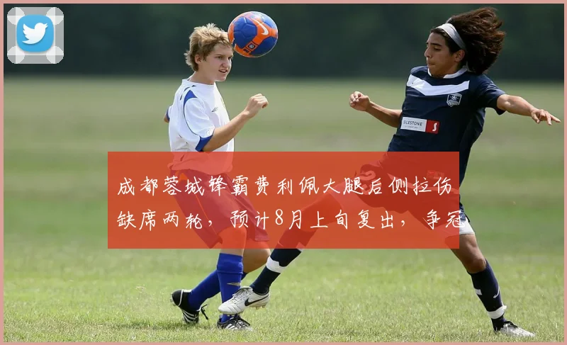 成都蓉城锋霸费利佩大腿后侧拉伤缺席两轮,预计8月上旬复出,争冠关键期